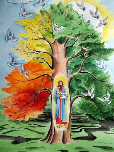 древо жизнь краски птицы иисус солнце дерево природа фото